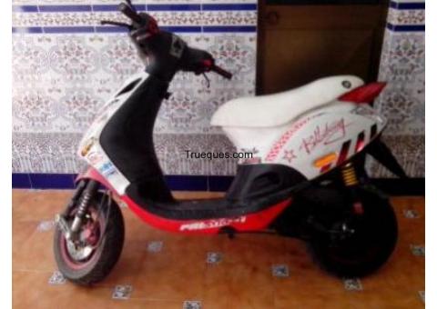Ofrezco zip sp 49 cc