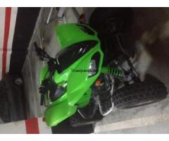 Quad kawasaki kfx 700 verde con carro de transporte - 1/1