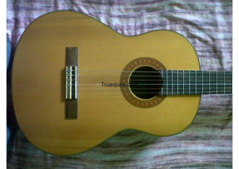 Guitarra acustica