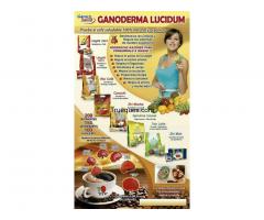 Productos gourmet de uso diario - 1/1