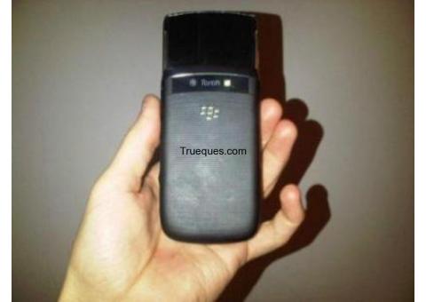Blackberry torch