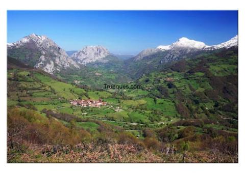 Casa con cuadra y huerto