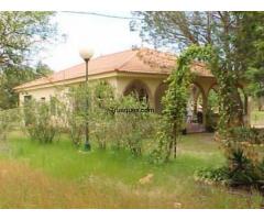 Casa de campo por apartamento playa en huelva - 1/1