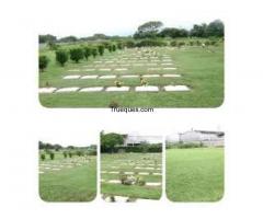 Dos parcelas del cementerio monumental los teques
