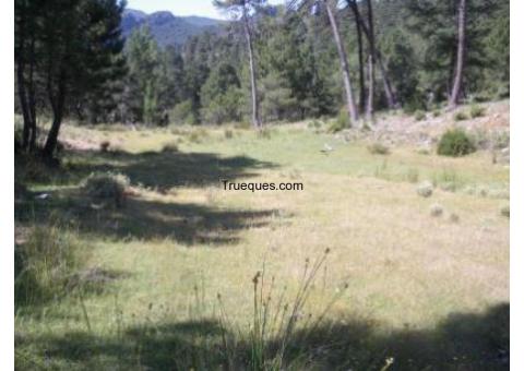 Finca de 39500 m2 en parque natural de cazorla, segura y las villas