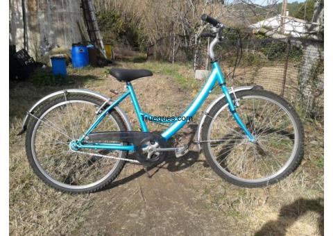 Bicicleta por acepto ofertas