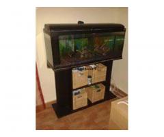 Acuario 100l completo con mesa por escucho propuestas - 1/1