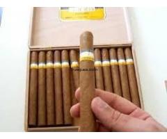 2 cajas de puros-tabacos cubanos cohiba esplendidos por 120 euros por cada una - 1/1