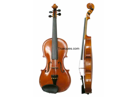 Violin, con su arco y estuche