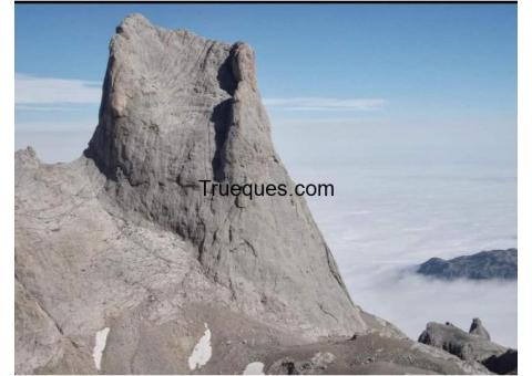 Subida guiada al naranjo de bulnes