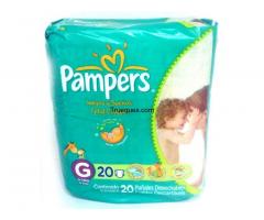 Pañales pampers talla g - 1/1