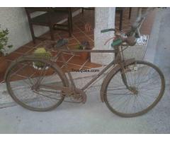 Bicicleta de paseo de los años 50 (1950) - 1/1