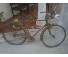 Bicicleta de paseo de los años 50 (1950)