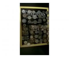 Monedas - 1/1