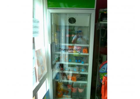 Nevera refrigeradora