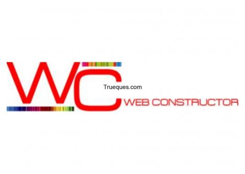 Pagina web personalizada, valorada en 550