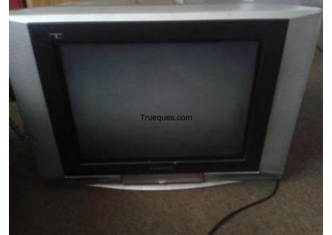 Televisor panasonic 21 pulgadas