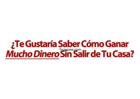 Como ganar dinero con encuestas remuneradas por internet