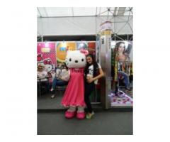 Disfraz hello kitty - 1/1