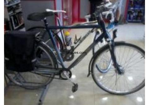 Bici batavus holandesa