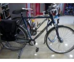 Bici batavus holandesa