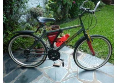 Bicicleta mountain bike rodado 26bi