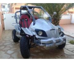 Buggy kinroad 250 - 1/1